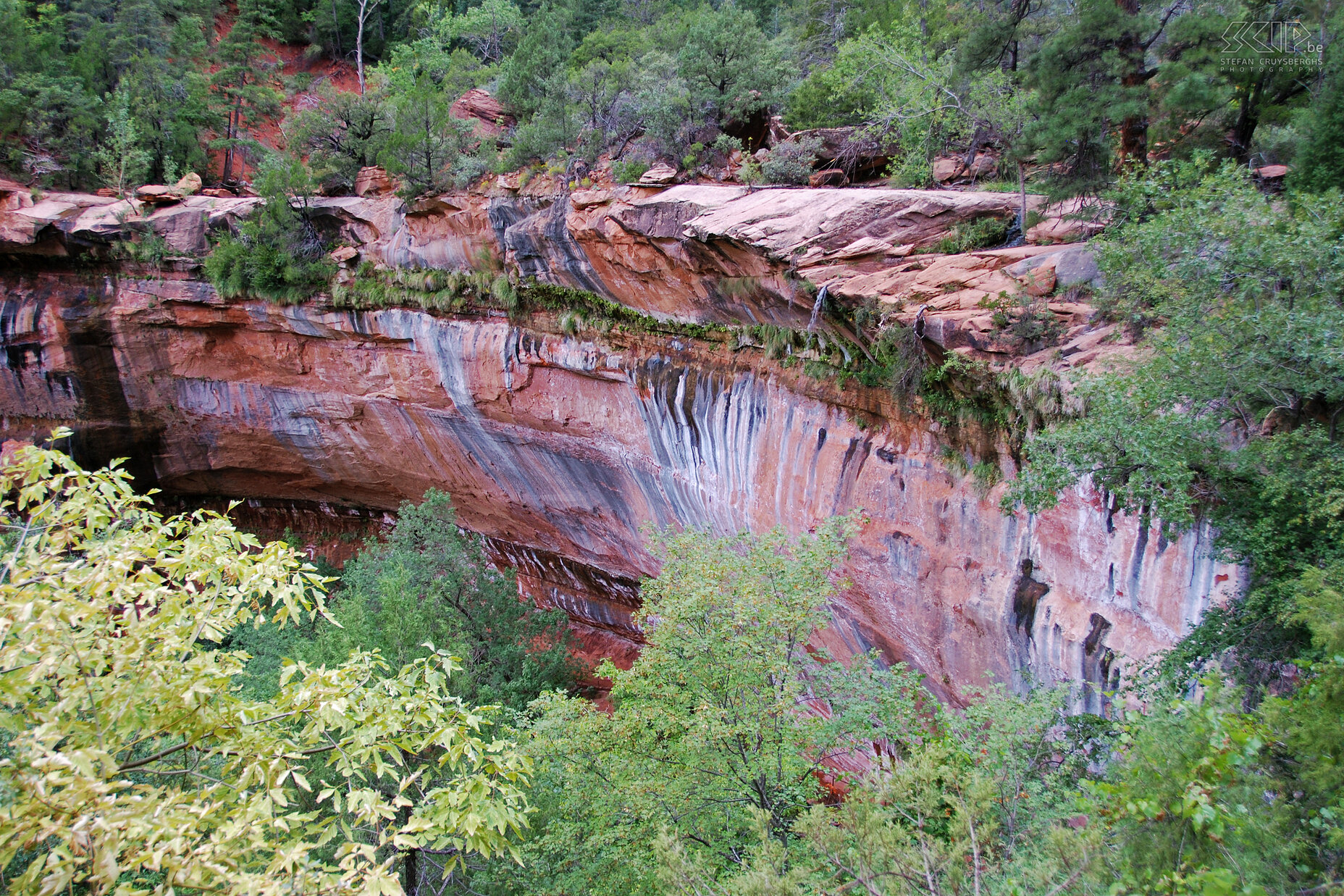 Zion - Emerald Pools  Stefan Cruysberghs